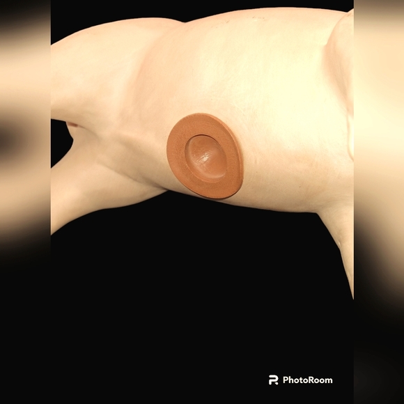 Piggy Bank - Picture 9 of 14